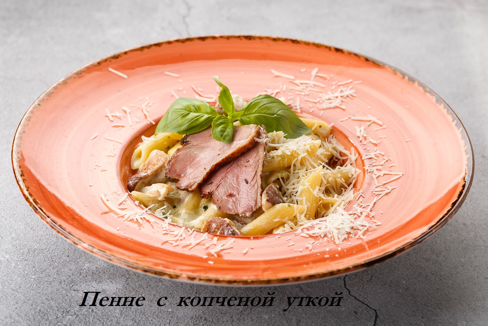 Текст 1